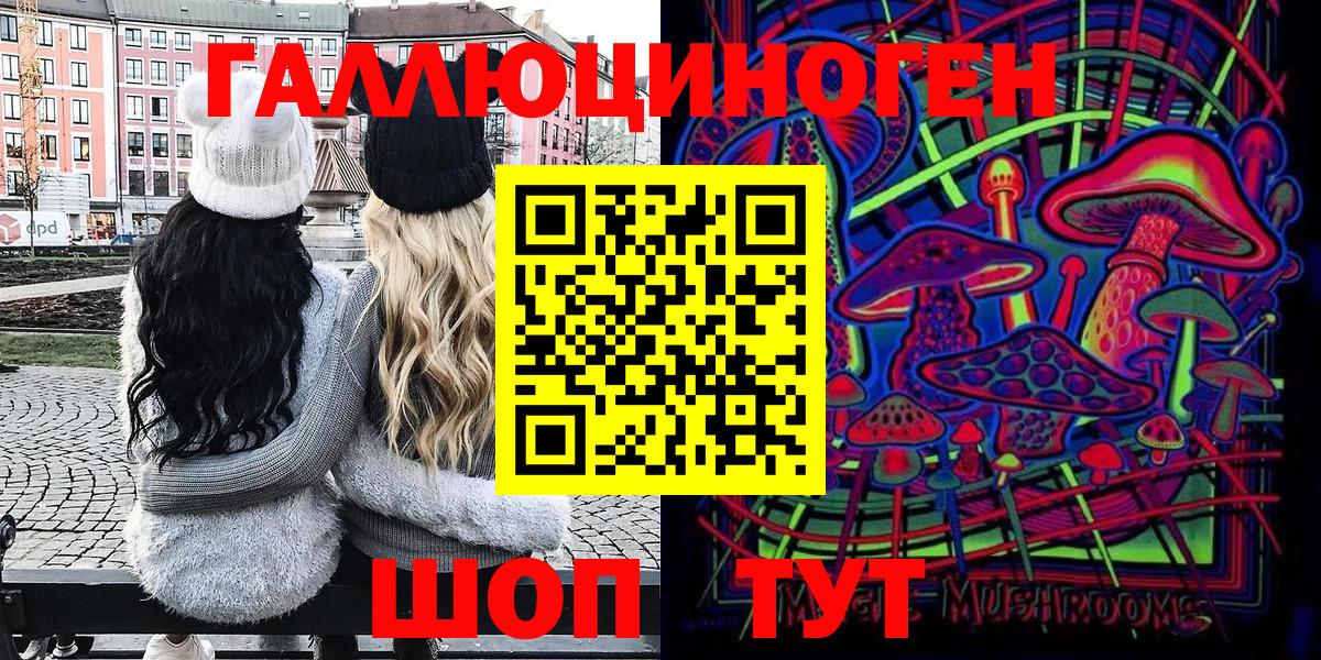 Псилоцибиновые грибы Psilocybe Обнинск