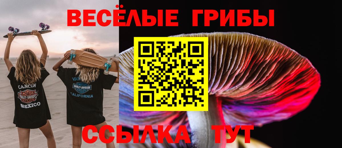Галлюциногенные грибы мицелий  Вход с VPN  Обнинск 
